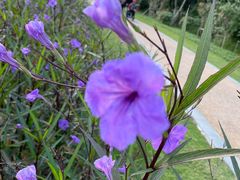 -昆山城市生态森林公园