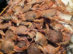 -苏格里岛自助海鲜烤肉(中州万达店)