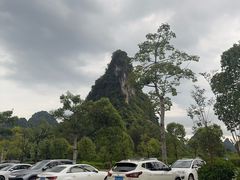 -靖西鹅泉风景区