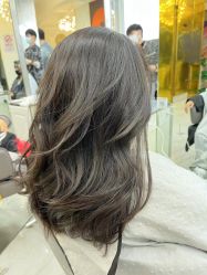 -潘多拉Hairsalon