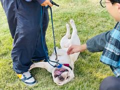 -上海神旺大酒店