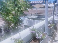 -素心小筑(后沙裕镇店)