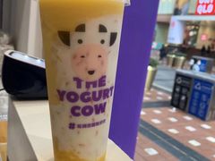 乐乐桃桃酸奶多-一只酸奶牛(八一路店)