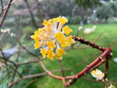 -浙江西子宾馆·瑶园咖啡厅