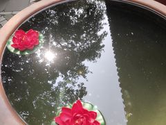 -红螺寺