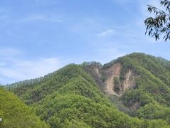 -栾川竹海野生动物园