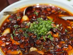 -陈麻婆豆腐总店