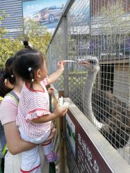 -萌宠亲子动物乐园(槐房万达店)