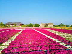 -中国天府农业博览园