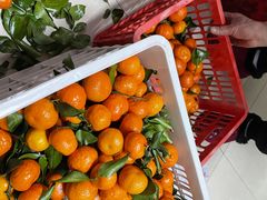 -西郊国际农产品交易中心