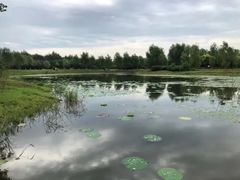-东郊湿地公园