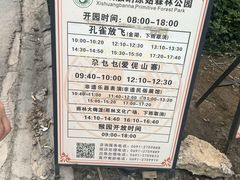 -西双版纳原始森林公园