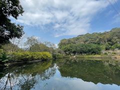 -广州市帽峰山景区