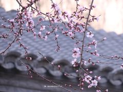 -三里河公园