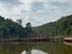 -神光山国家森林公园