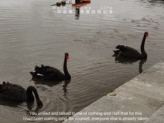 -上海辰山植物园