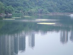 -重庆彩云湖湿地公园
