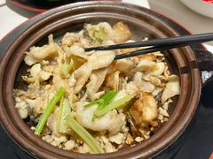 -谭厨中山传家菜.乳鸽.脆鲩鱼(华强北中航城店)