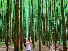 -山王坪喀斯特国家生态公园