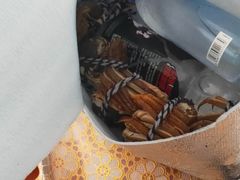 -古尚锦酒楼·水上餐厅