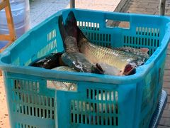 -酥鱼坊(延长西路总店)