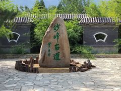 -阳台山自然风景区