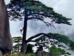 -黄山翡翠谷景区