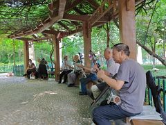 -西安市长乐公园