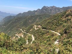 -老虎土菜馆·农家土菜