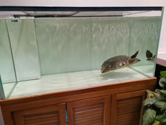 -星巴克(上海南站店)