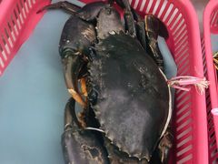 -龙海鲜螃蟹王(宏茂桥店)