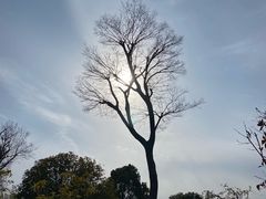 -合和大唐(江夏纸坊店)