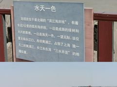 -上海滨江森林公园