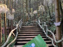 -石燕湖生态旅游景区