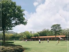 -顺峰山公园