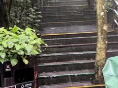 -呀诺达热带雨林
