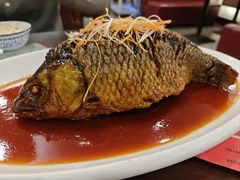-津菜宋记老房子(鼓楼店)