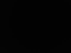 -蔡先生(双阳路店)