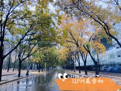 -Apple零售店(华贸购物中心店)