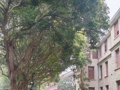 -厦门大学(思明校区)