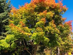 -长春世界雕塑园冰雪艺术天地