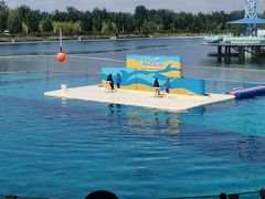 -秦皇岛乐岛海洋王国