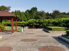 -嘉定紫藤园