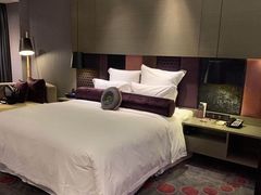 -南京禄口机场雅高铂尔曼大酒店