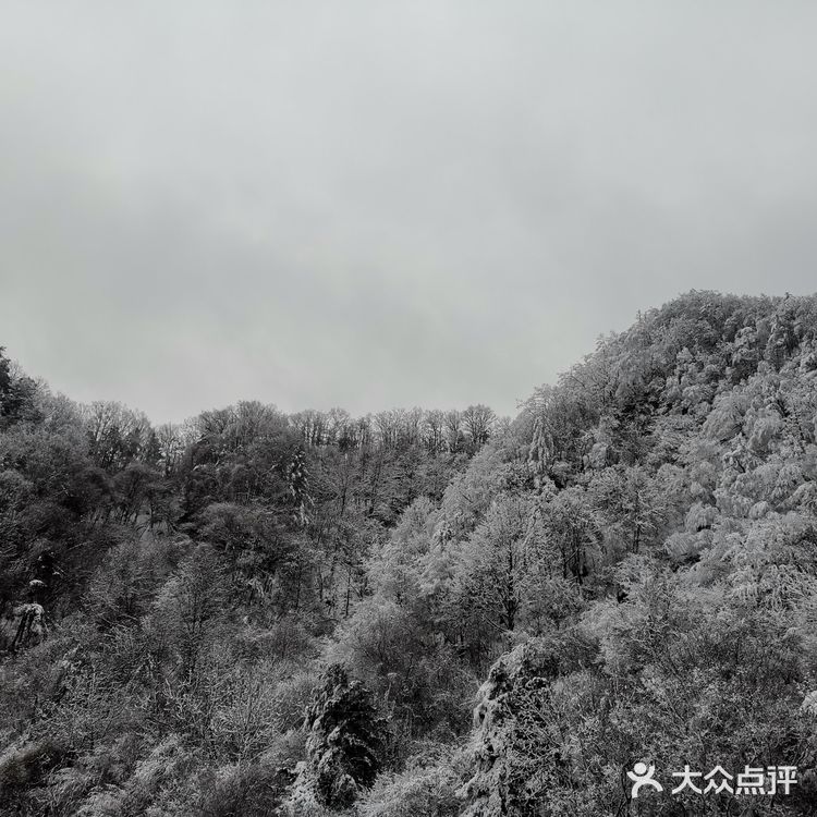 雾凇、白雪、冰挂这里都有