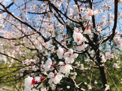 -永定河休闲森林公园