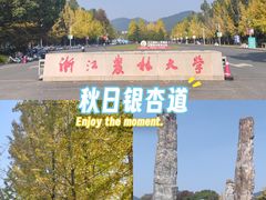 -浙江农林大学(东湖校区)