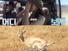 -乞力马扎罗山