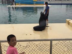 -秦皇岛乐岛海洋王国