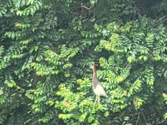 -人民公园(罗湖区)